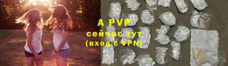 A-PVP СК КРИС  Тверь 